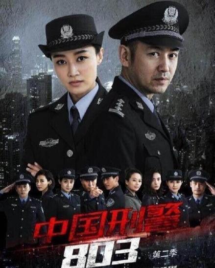 电视剧中国刑警803在线观看,揭秘罪案背后的真相 第2张 电视剧中国刑警803在线观看,揭秘罪案背后的真相 第2张