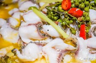 最新吃酸菜鱼爆料图片